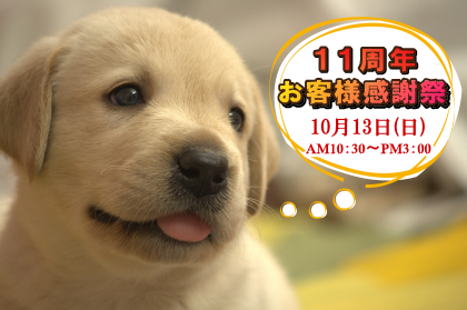 11周年お客様感謝祭